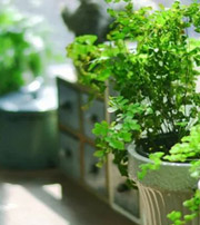 郑州专属于你的开运指南，助你鸿运当头福满身！